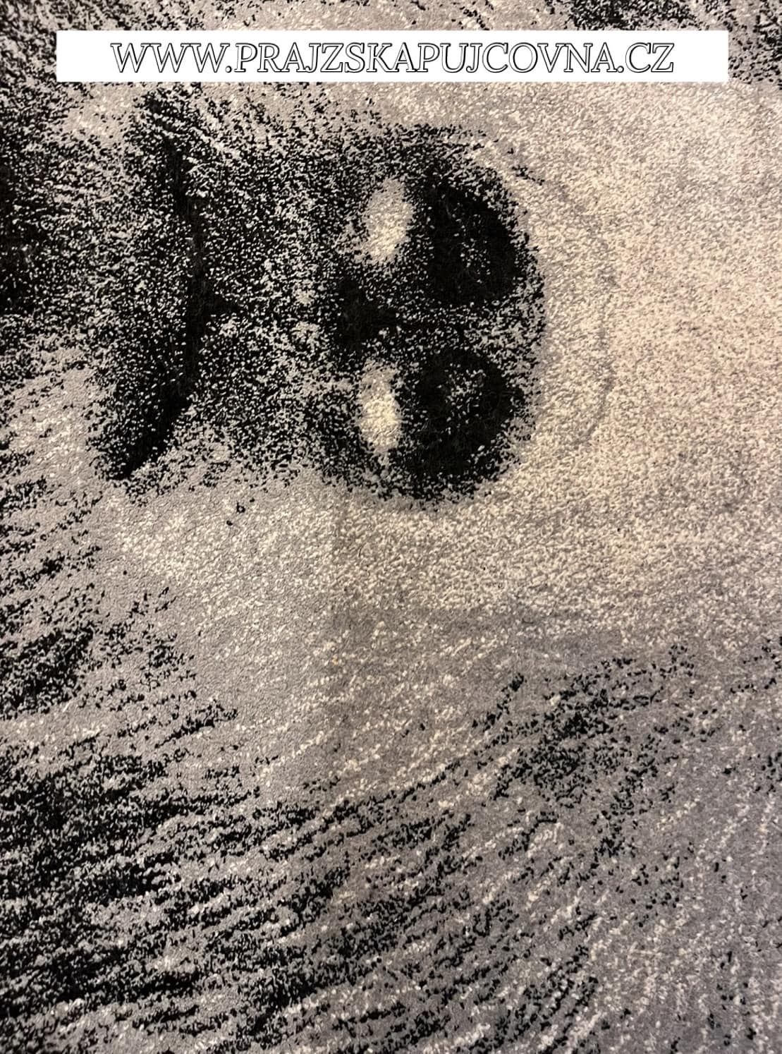 450197068_460436220112347_5020023781679782239_n